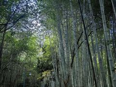 -敬亭山风景名胜区