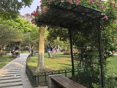 -大关公园
