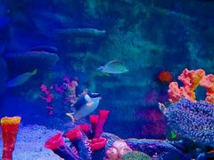 -沈阳海洋探索中心