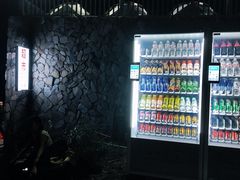-东白山