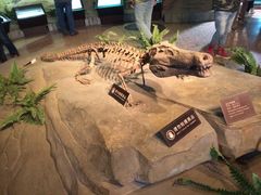 -自贡恐龙博物馆