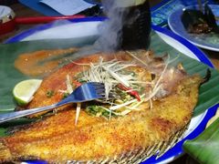 -雀舞云南菜(乐客城店)