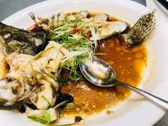 -东哥紫阳蒸盆子(旺座·现代城店)