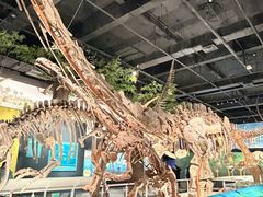 -国家自然博物馆