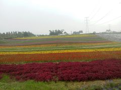 -紫颐香薰山谷景区