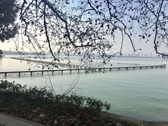 -咸宁万豪温泉谷度假区