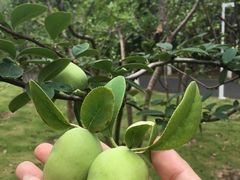 -白塘生态植物园