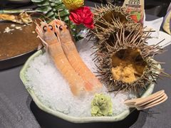 -雍容荟活波龙自助餐(IFS黑金店)