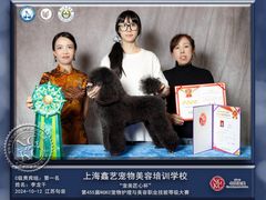 -鑫艺宠物美容培训学校