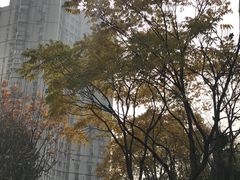 -黄兴公园