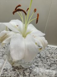 -HEYAN长风荷妍专业脱毛美肤
