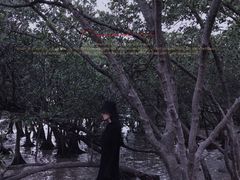 -宝安西湾红树林湿地公园