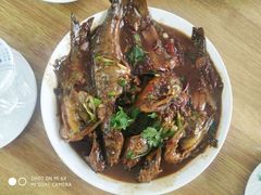 -庆岭迎宾园正宗活鱼馆