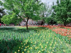 -长春公园(普阳街道)