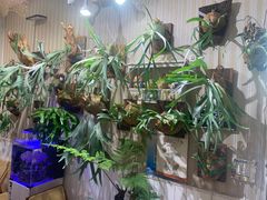 -Rabbit Cafe私房西餐甜点咖啡(栖霞路店)