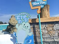 -秦皇岛乐岛海洋王国