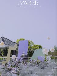 -琥珀婚礼策划AMBER WEDDING