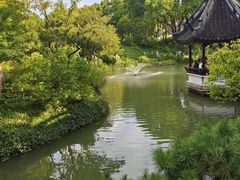 -上海醉白池公园