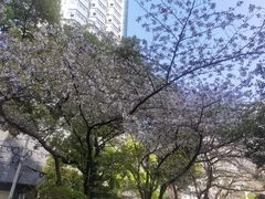 -玛格萝妮比萨屋(四平店)
