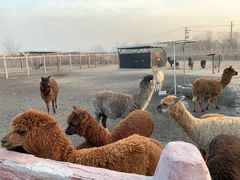 -水晶之星洗浴温泉汗蒸