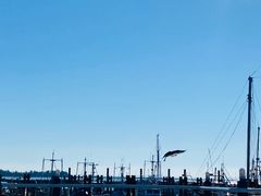 -Steveston Pizza Company (Richmond)