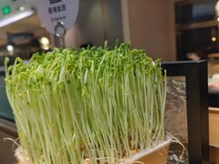 -海底捞火锅(番禺广场店)