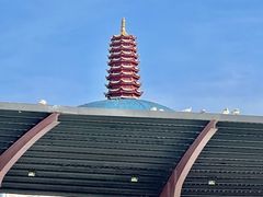-巨鹏飞梦幻海岸