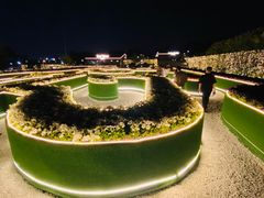 -莫子山公园