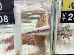 -沙田台山海鲜·酣客酒窖