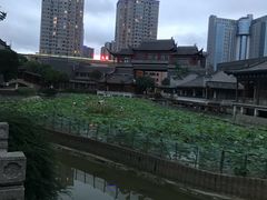-龙潭水乡