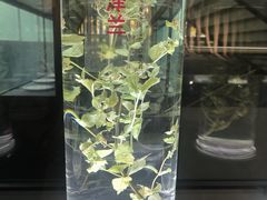 -广东中医药博物馆
