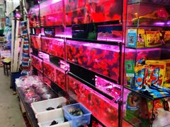 -双季花艺园艺市场(浦东店)