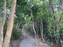 -梧桐山风景名胜区