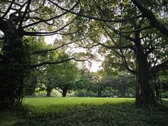 -南宁南湖公园
