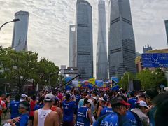 -东方体育中心(地铁站)