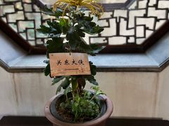-耦园