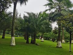 -龙头寺公园