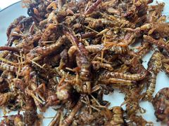 -黄狗猪头肉(运河路店)