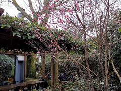 -旅马餐厅(茅家埠店)