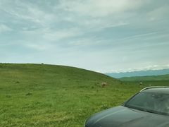 -新疆那拉提国家旅游度假区