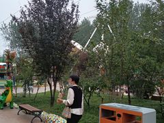 -辛玛王国游乐园