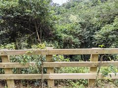 -阳台山森林公园