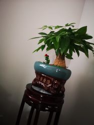 点击看大图 -玲珑秀身坊
