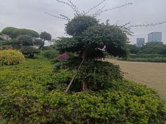 -南宁南湖公园