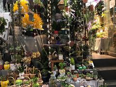 -循礼门鲜花花市(武汉循礼门店)