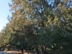 -回龙观体育文化公园