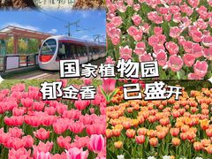 -国家植物园