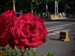 -嗨麻棋牌室(传媒大学店)