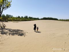 -东郊湿地公园