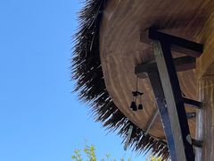 -大连金石滩绿发温泉假日酒店